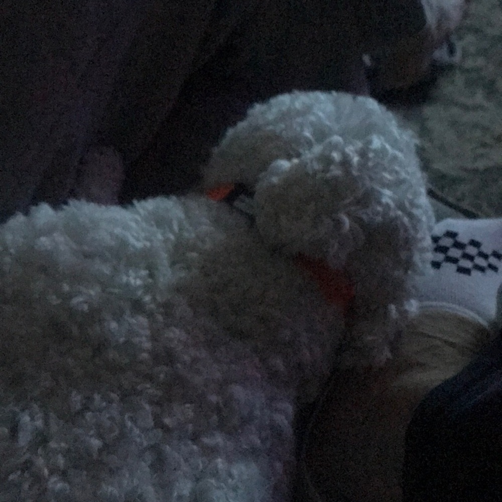 Meet your Posher, Cara